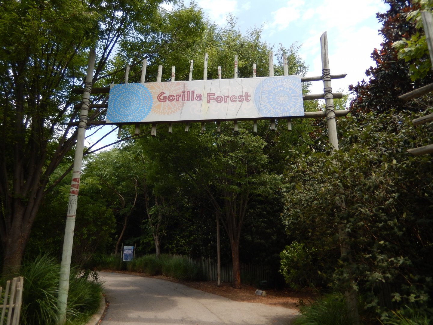 8/4/2017 - Gorilla Forest Entry