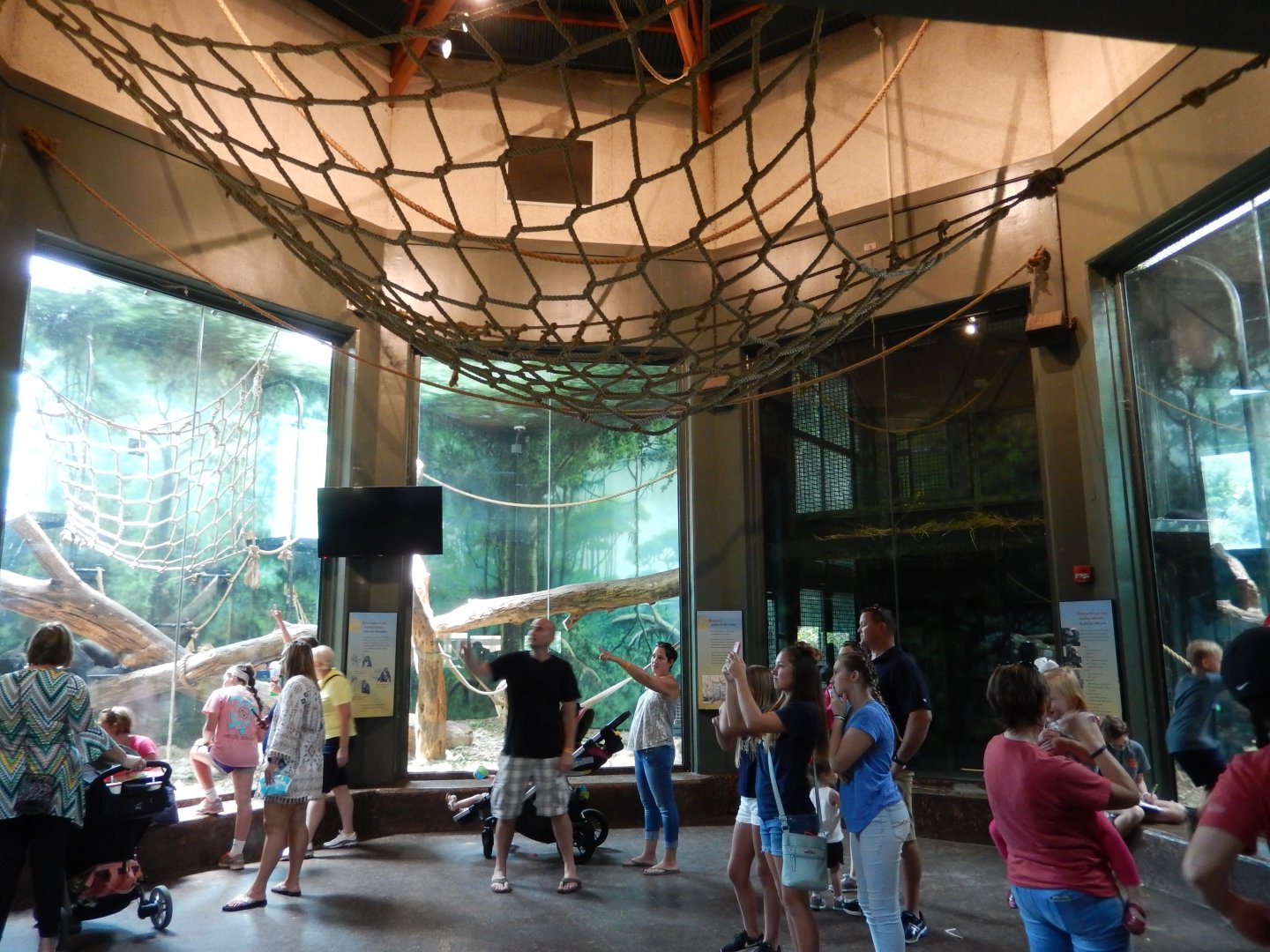 8/4/2017 - Gorilla Sanctuary