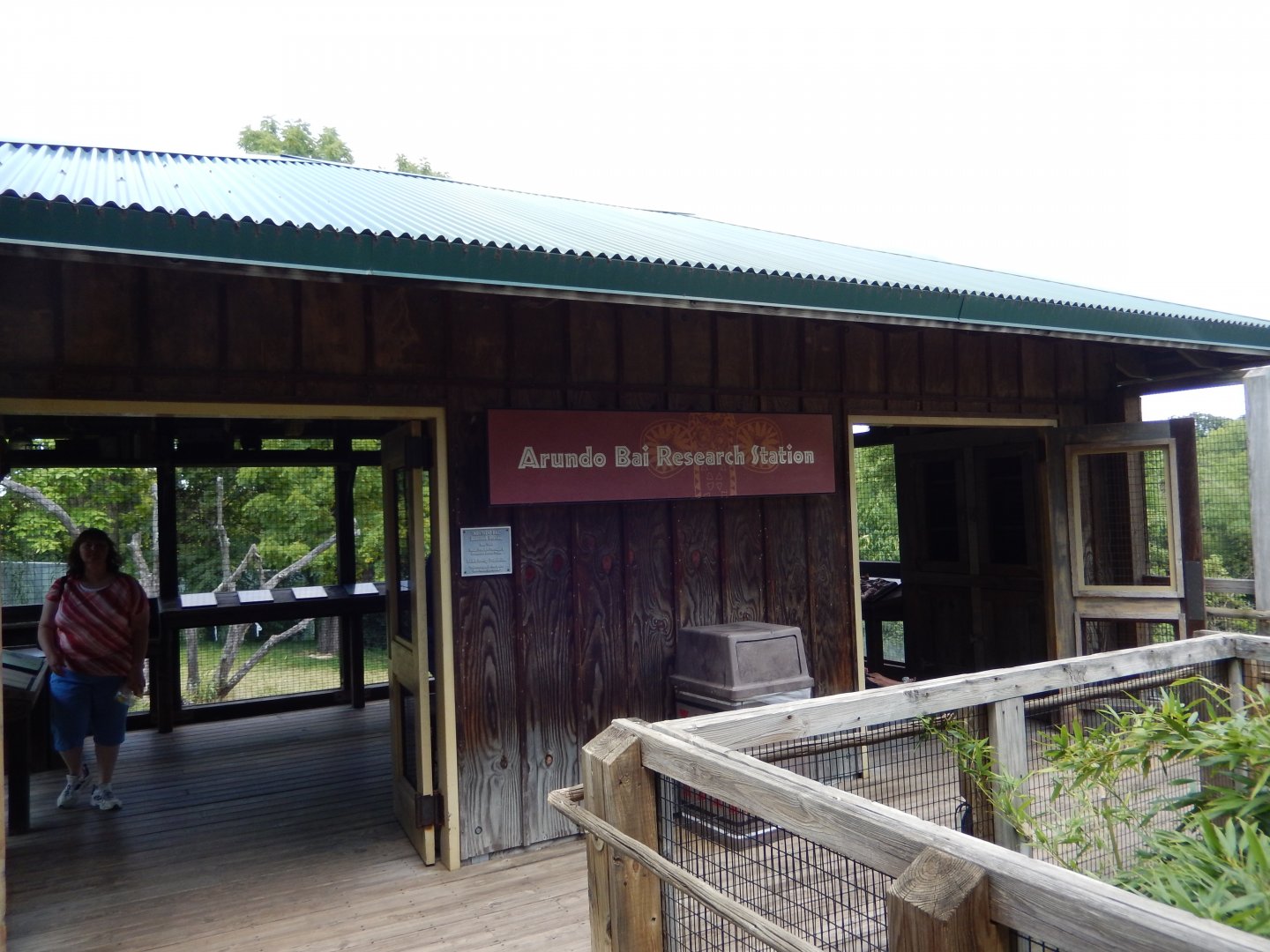 8/4/2017 - Gorilla Viewing Shelter