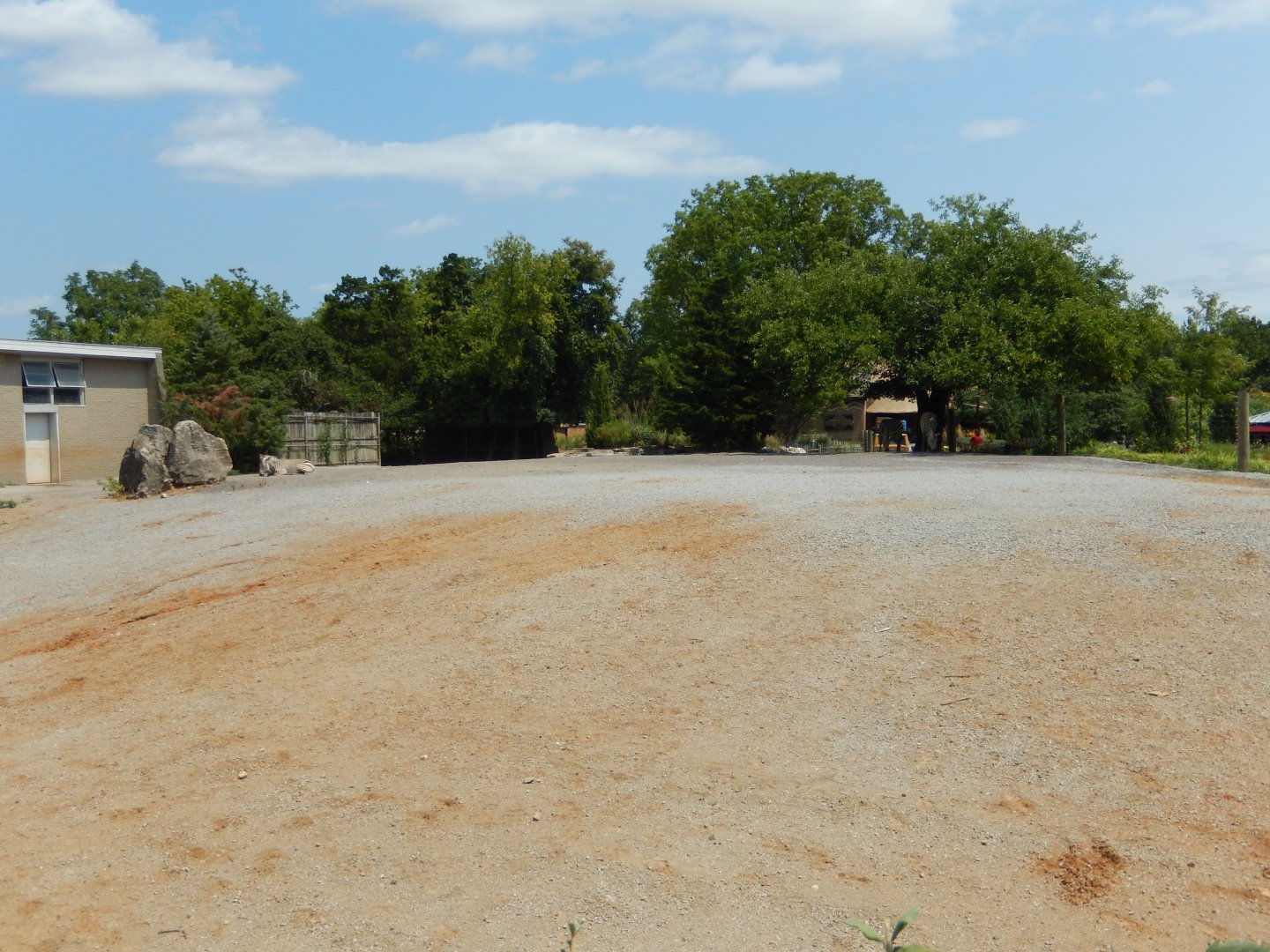 8/4/2017 - Hartmann's Mountain Zebra Paddock
