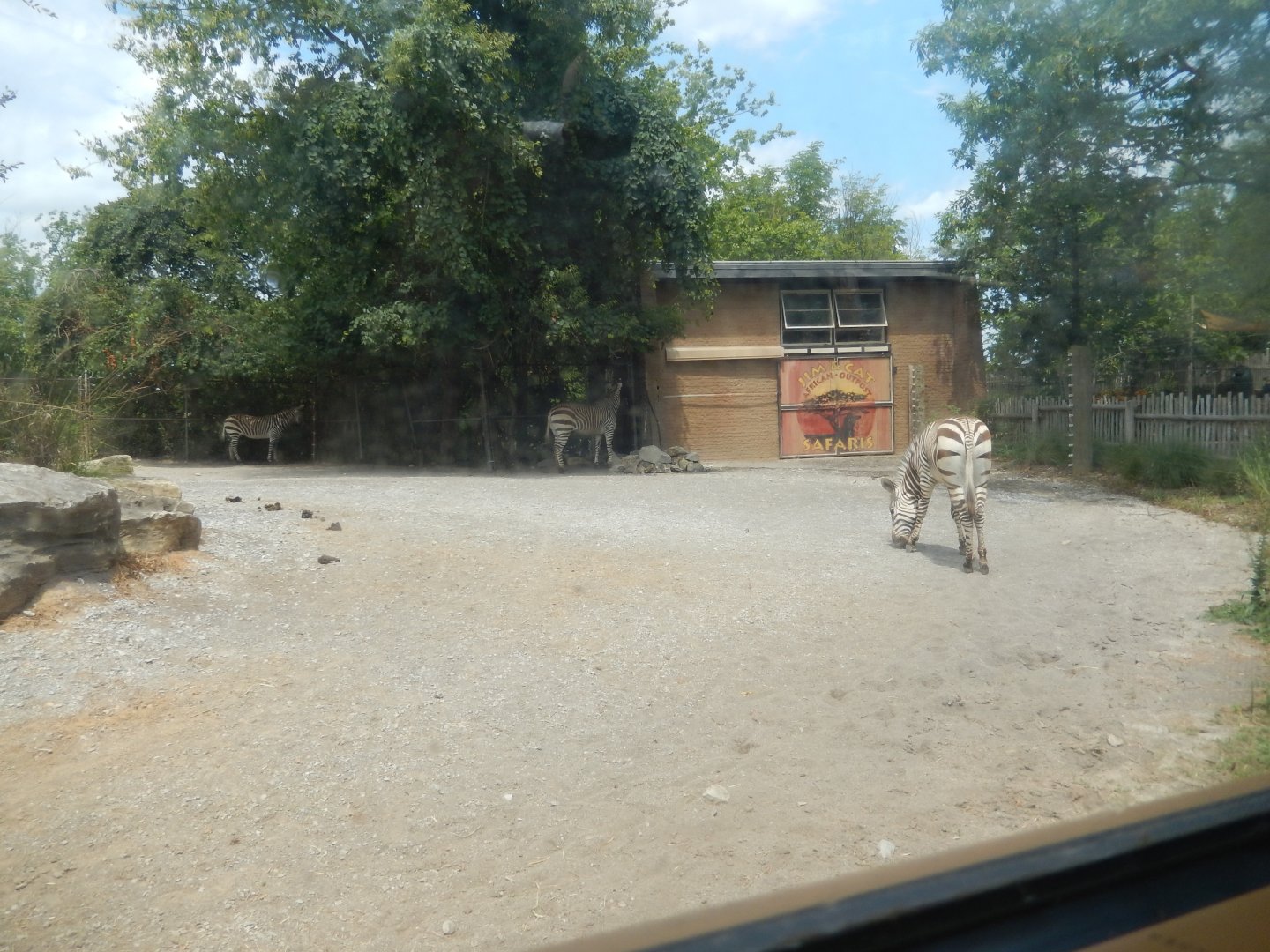 8/4/2017 - Hartmann's Mountain Zebra Paddock