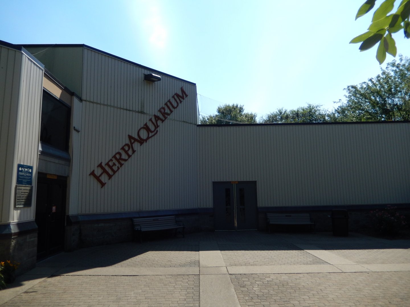 8/4/2017 - HerpAquarium Entry