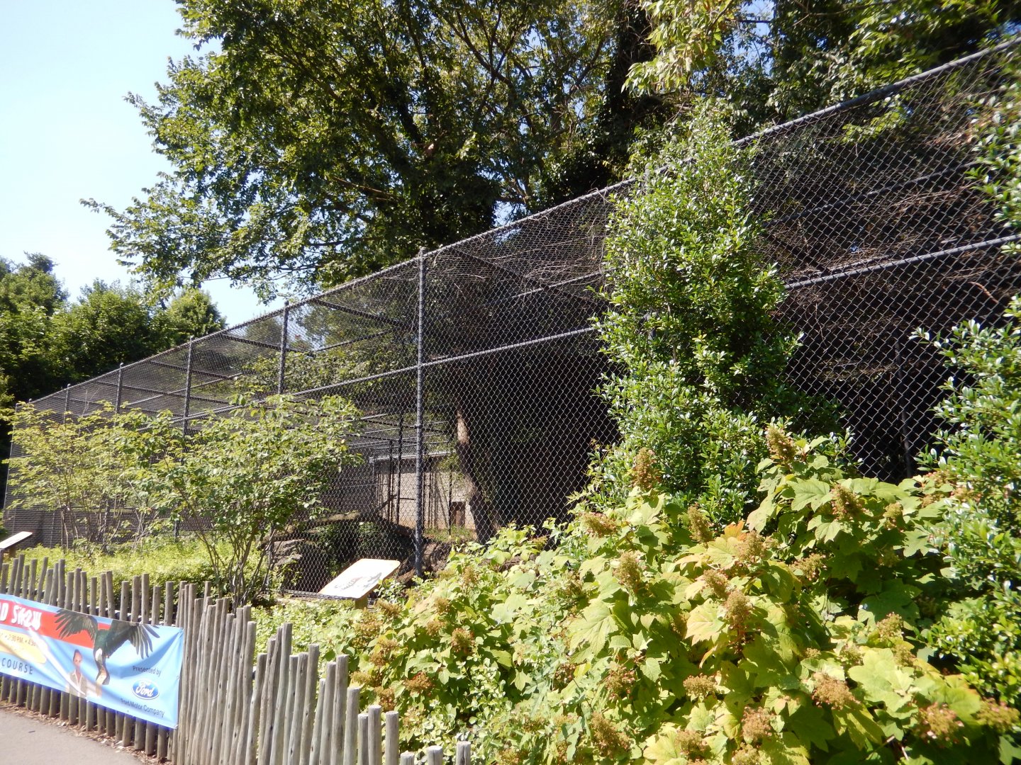 8/4/2017 - Jaguar Cage