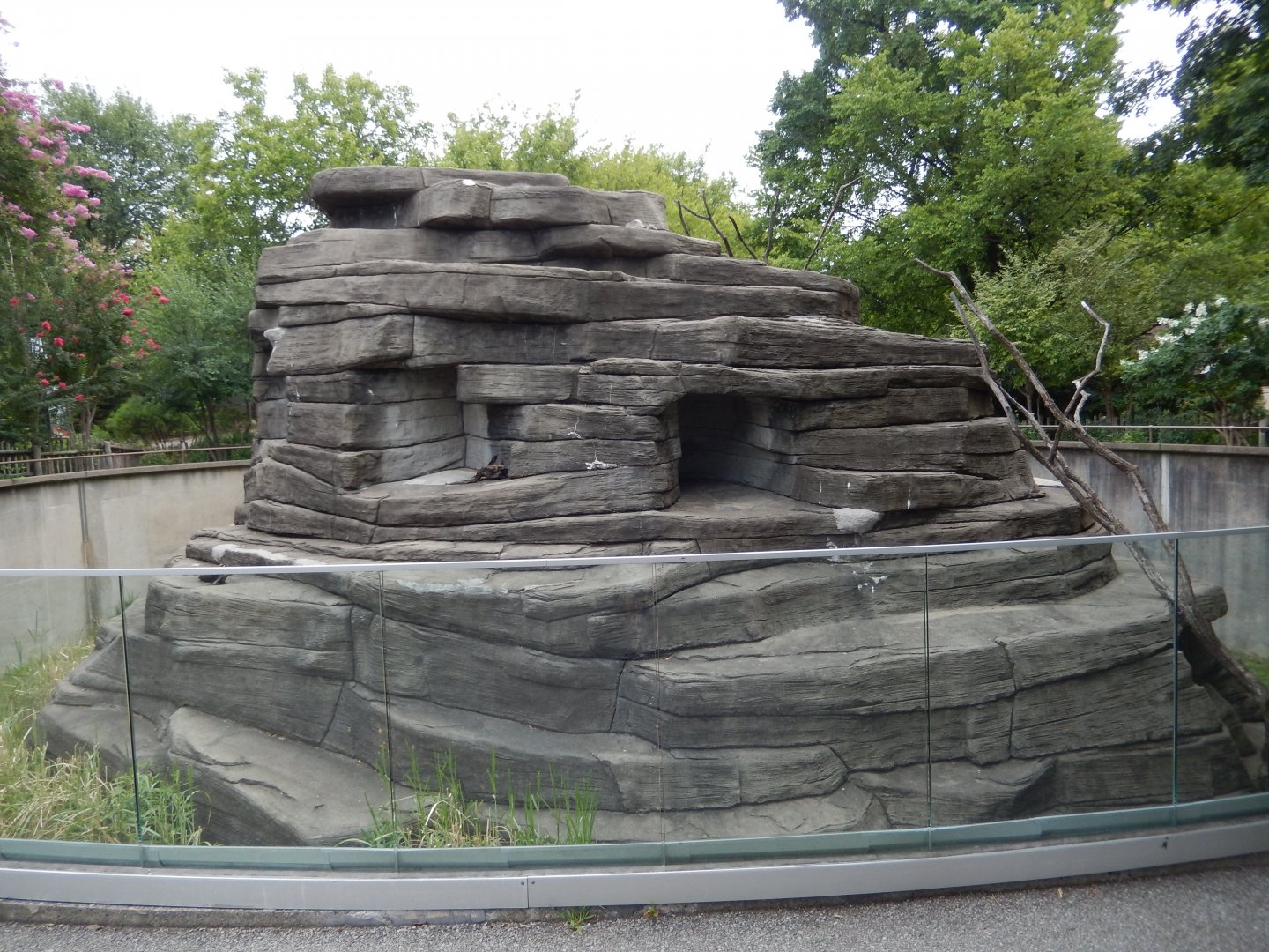 8/4/2017 - Lemur Mock-Rock Mountain