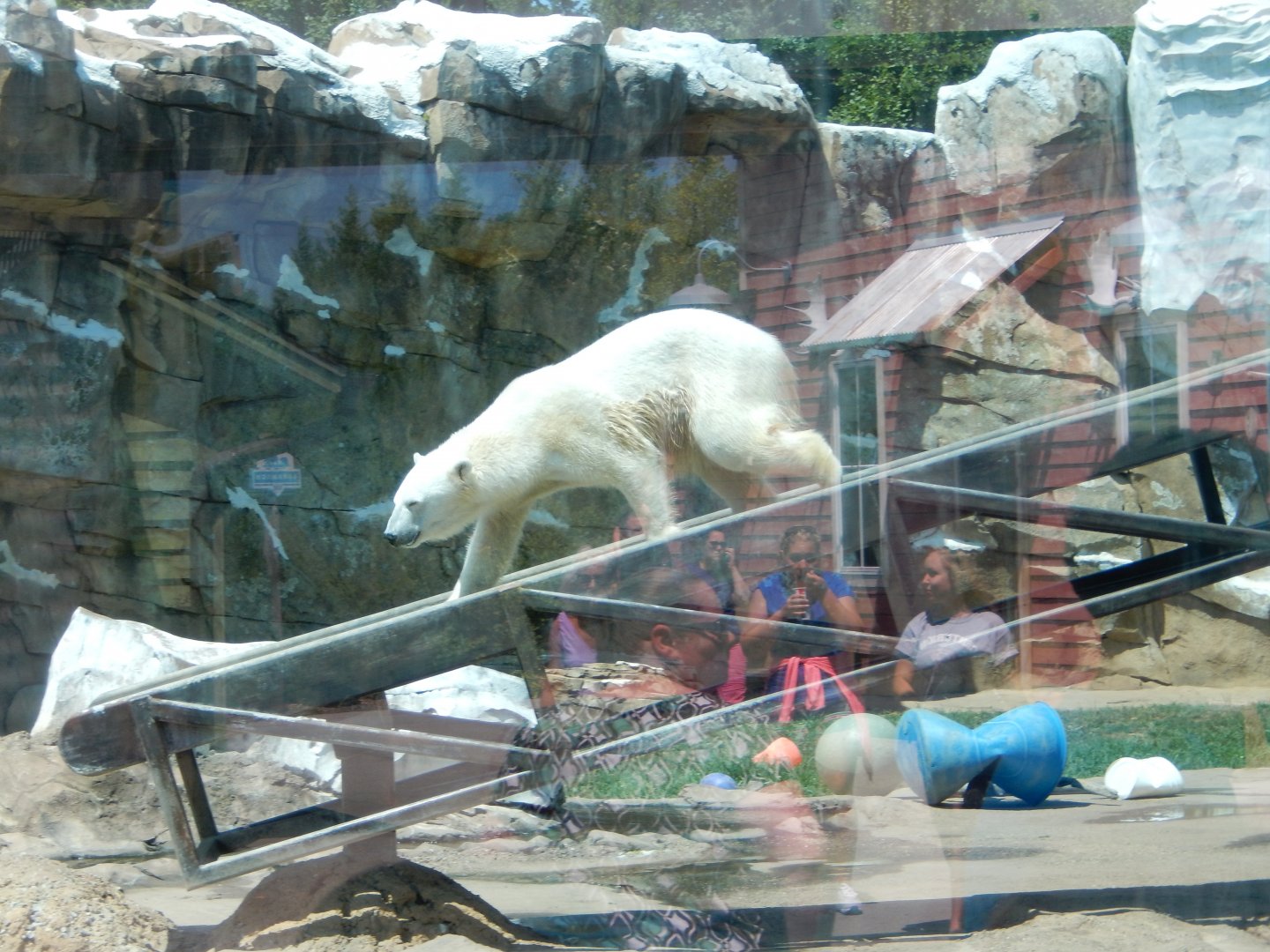 8/4/2017 - Let the Search Begin!