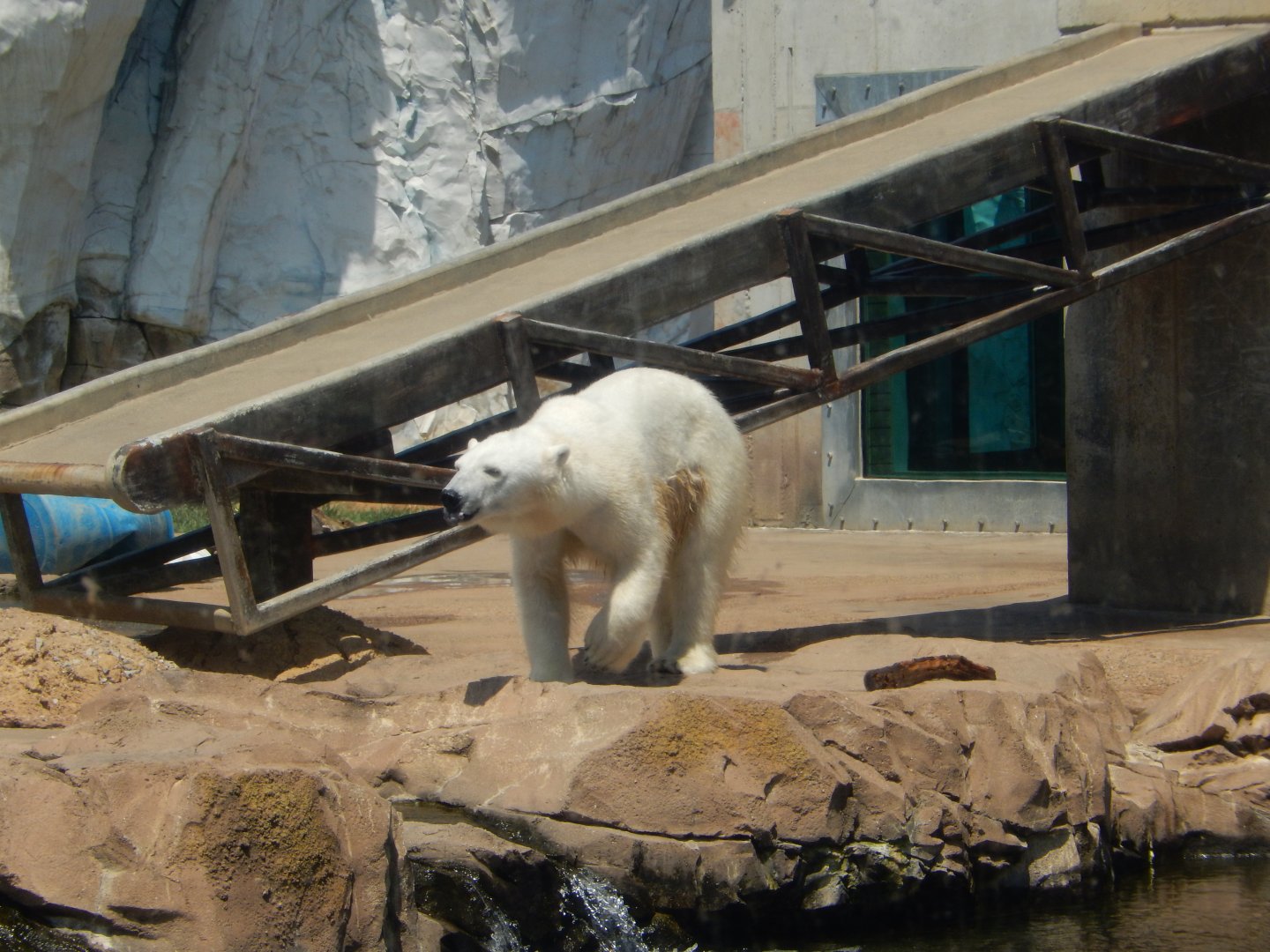 8/4/2017 - Must Find Treats!