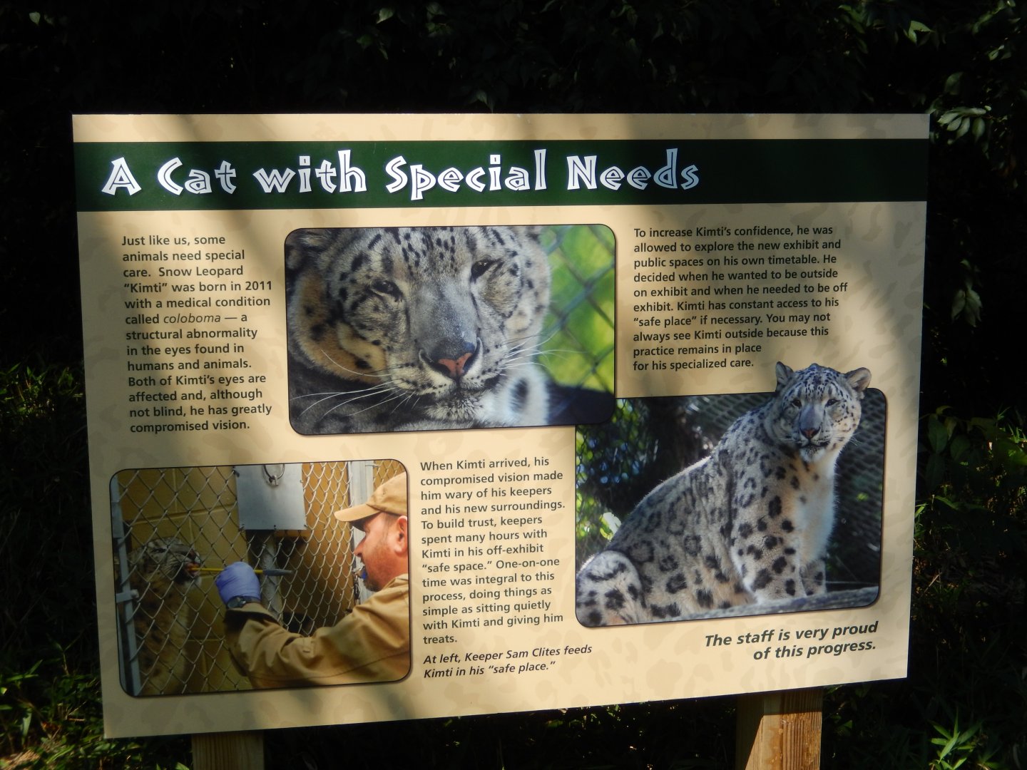 8/4/2017 - Signage About Kimti