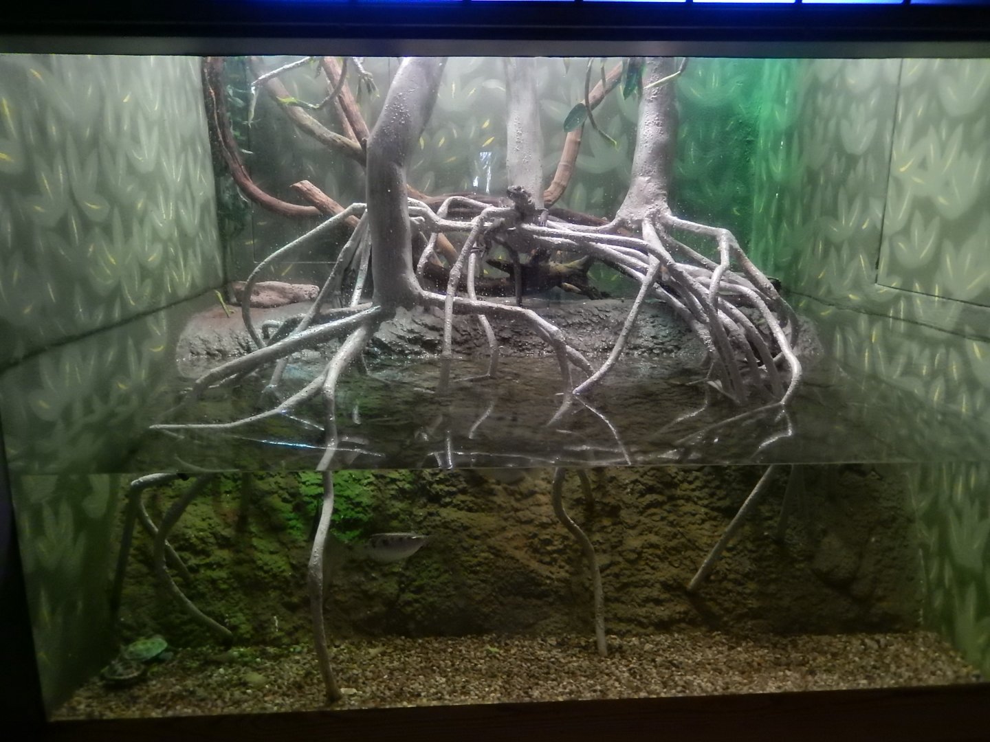 8/4/2017 - Terrarium