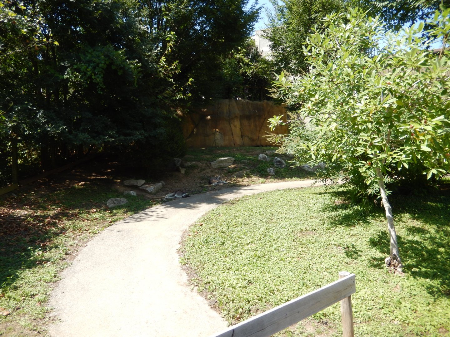 8/4/2017 - Wallaroo Walkabout