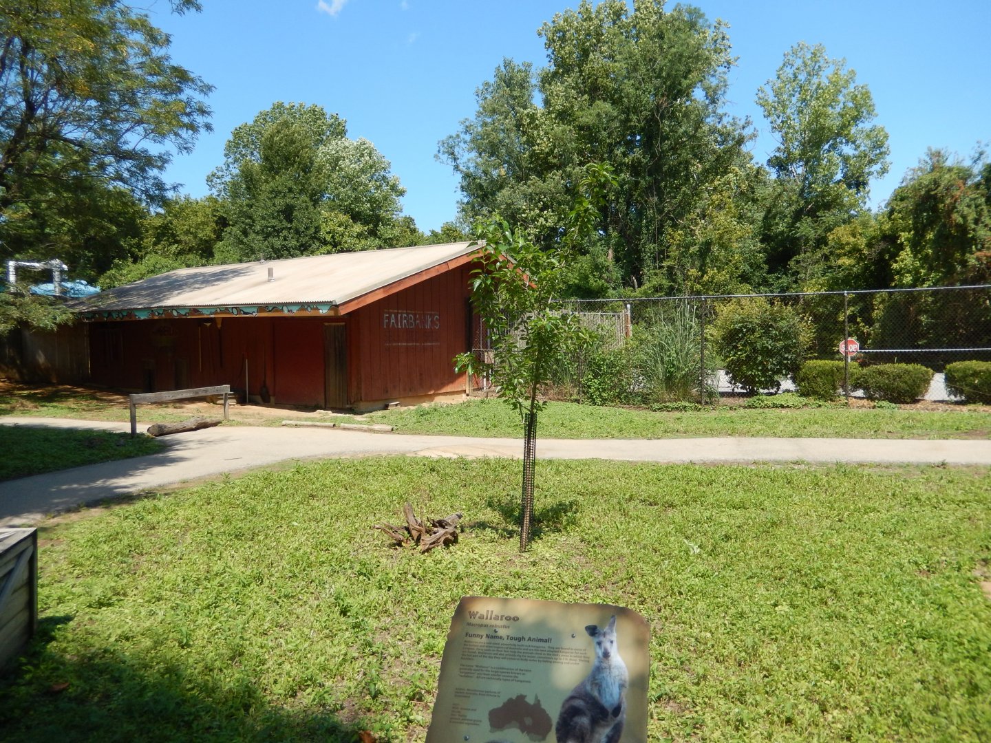 8/4/2017 - Wallaroo Walkabout