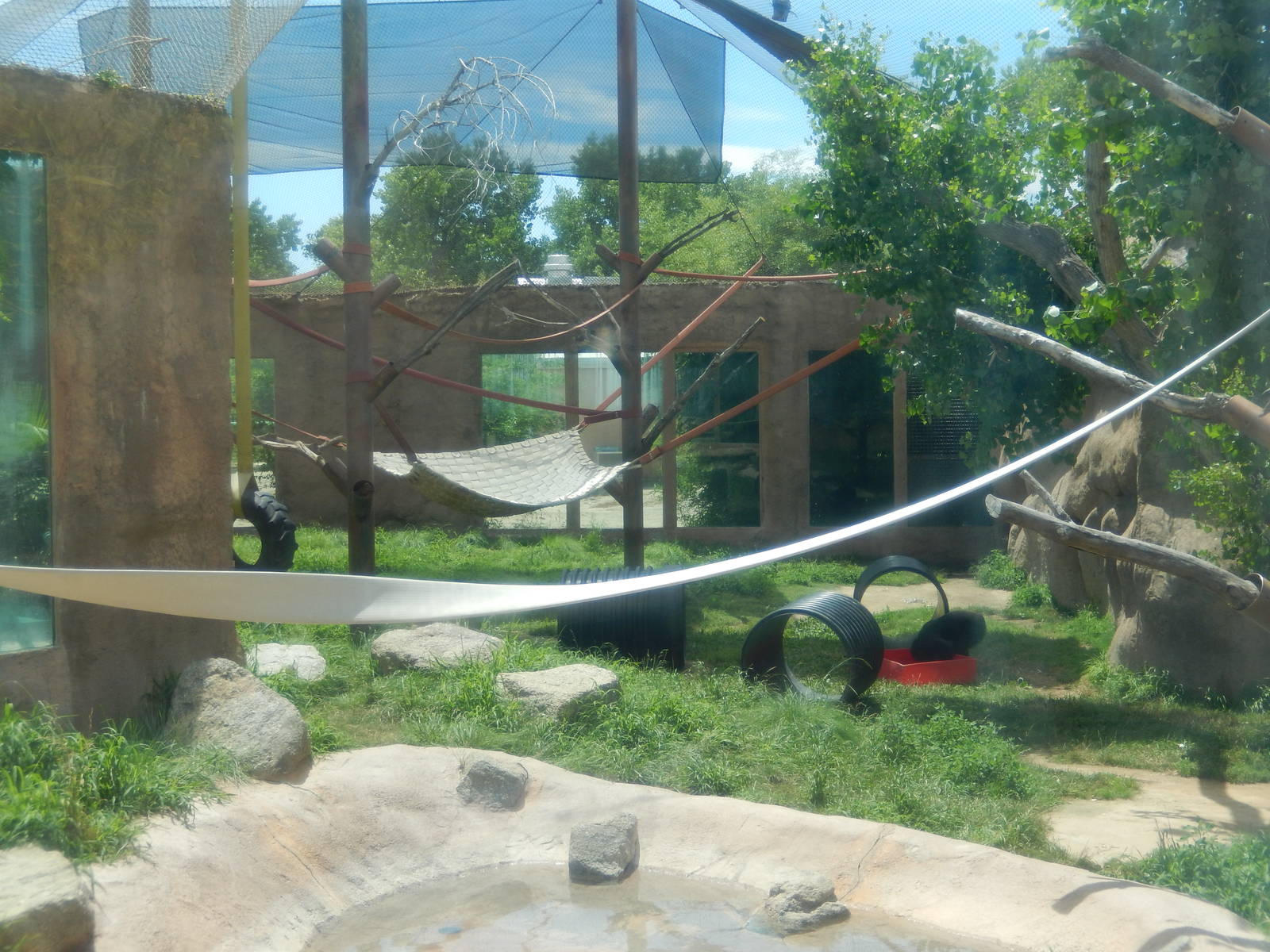 8/6/2015 - Chimpanzee Habitat