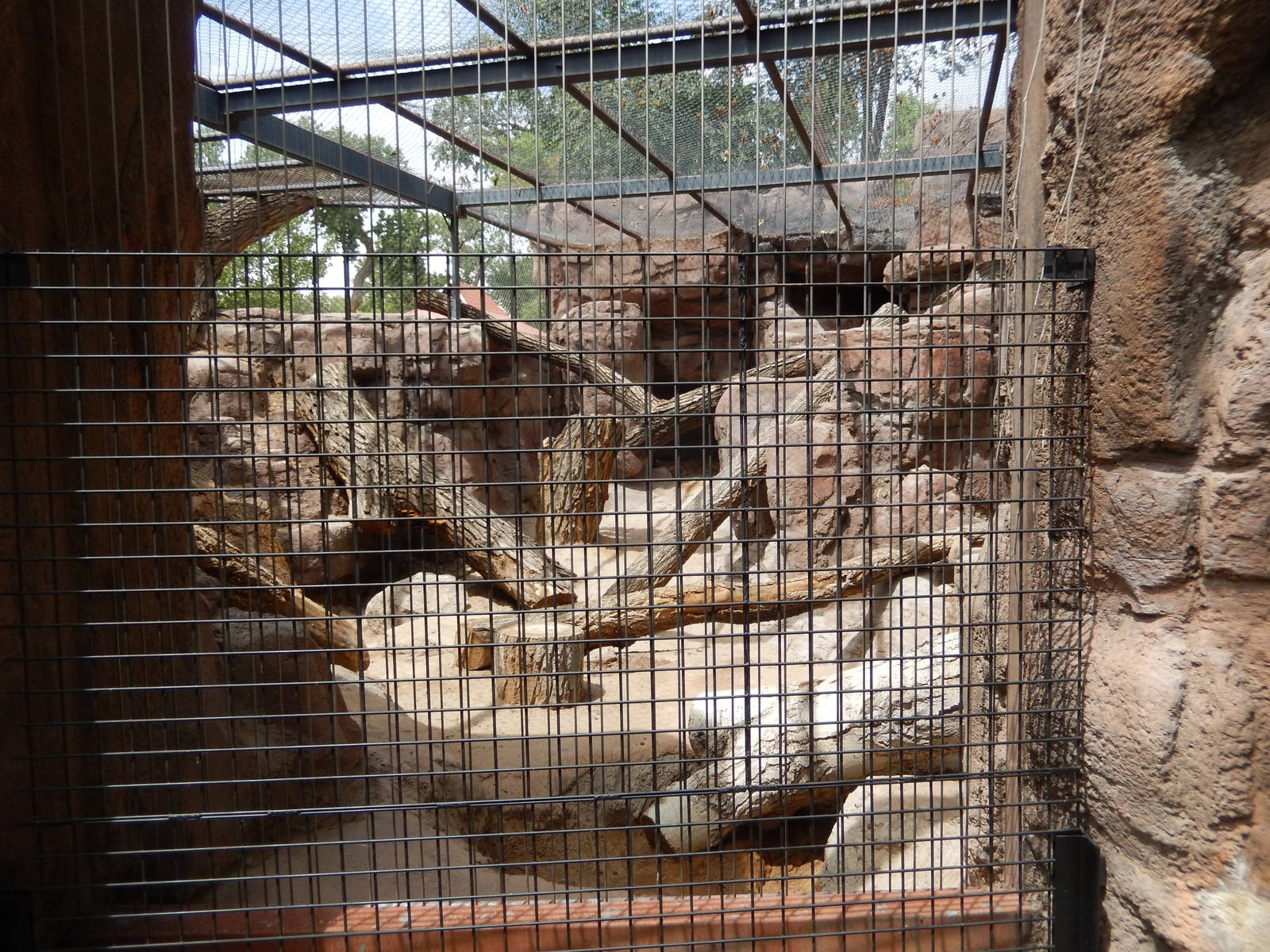 8/6/2015 - Cougar Exhibit