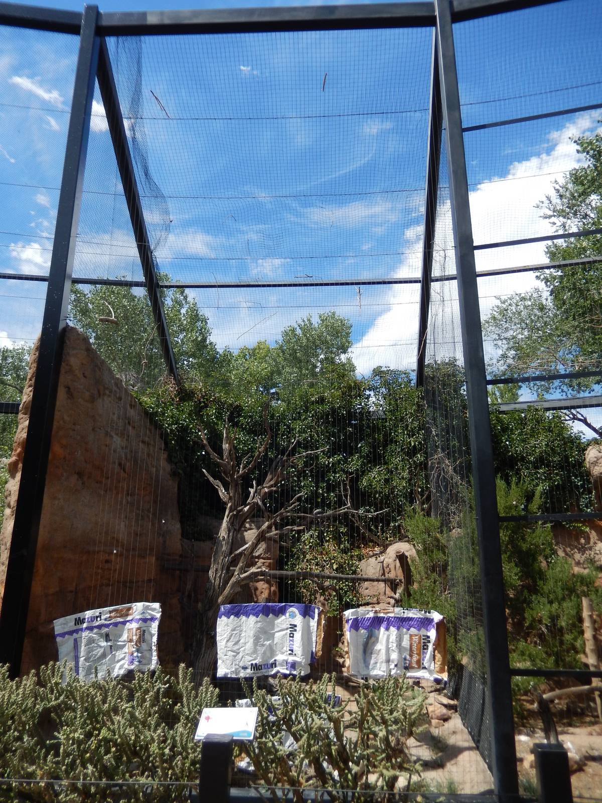8/6/2015 - Ferruginous Hawk Aviary