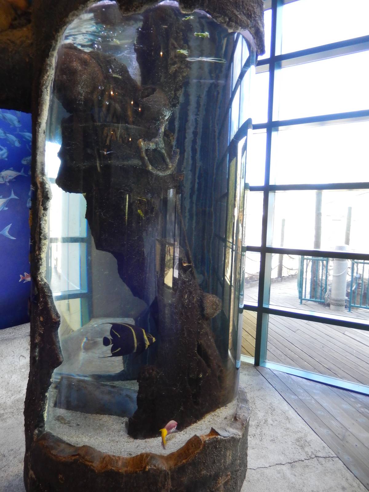 8/6/2015 - Gulf Coast (Cylinder Tank)