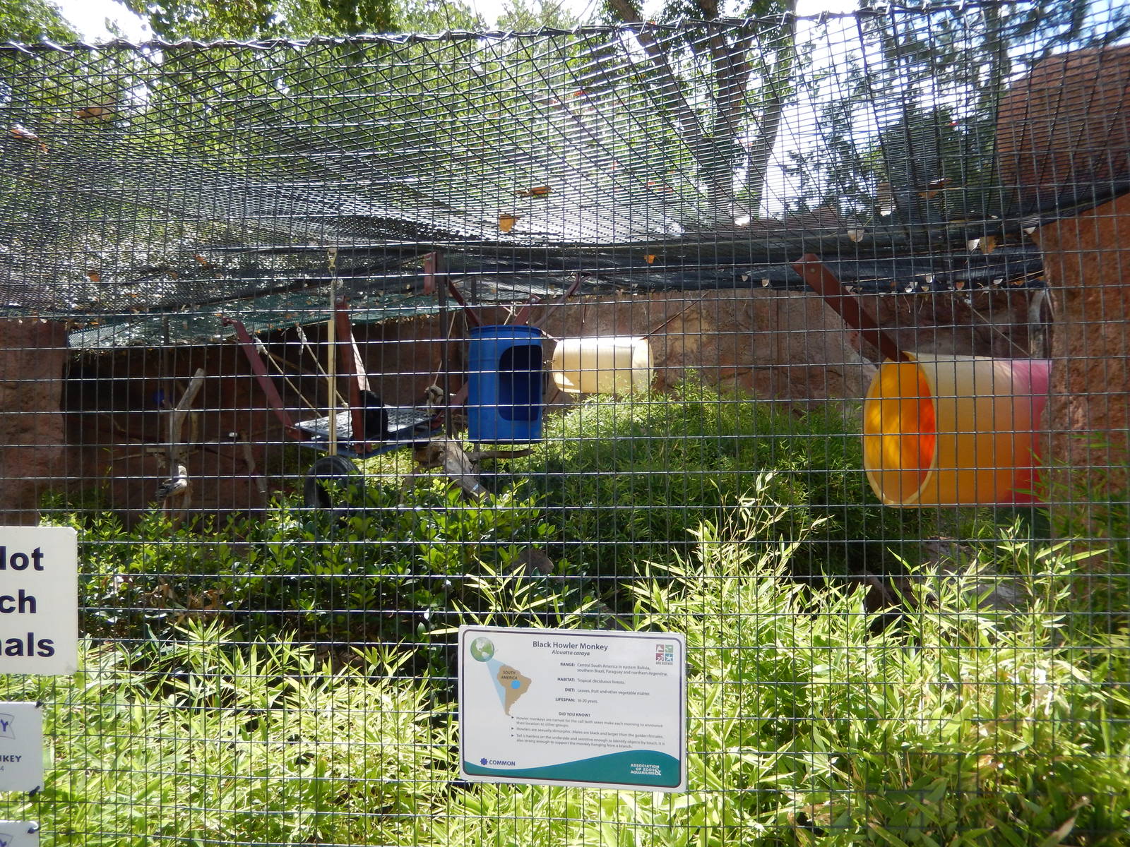 8/6/2015 - Howler Monkey Cage