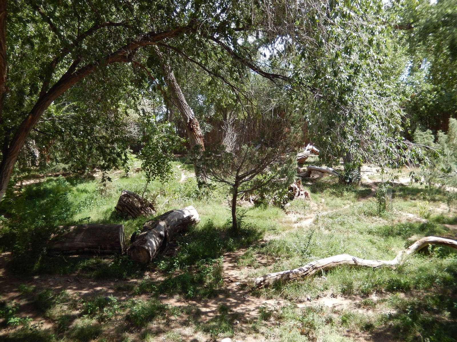 8/6/2015 - Mexican Gray Wolf Habitat