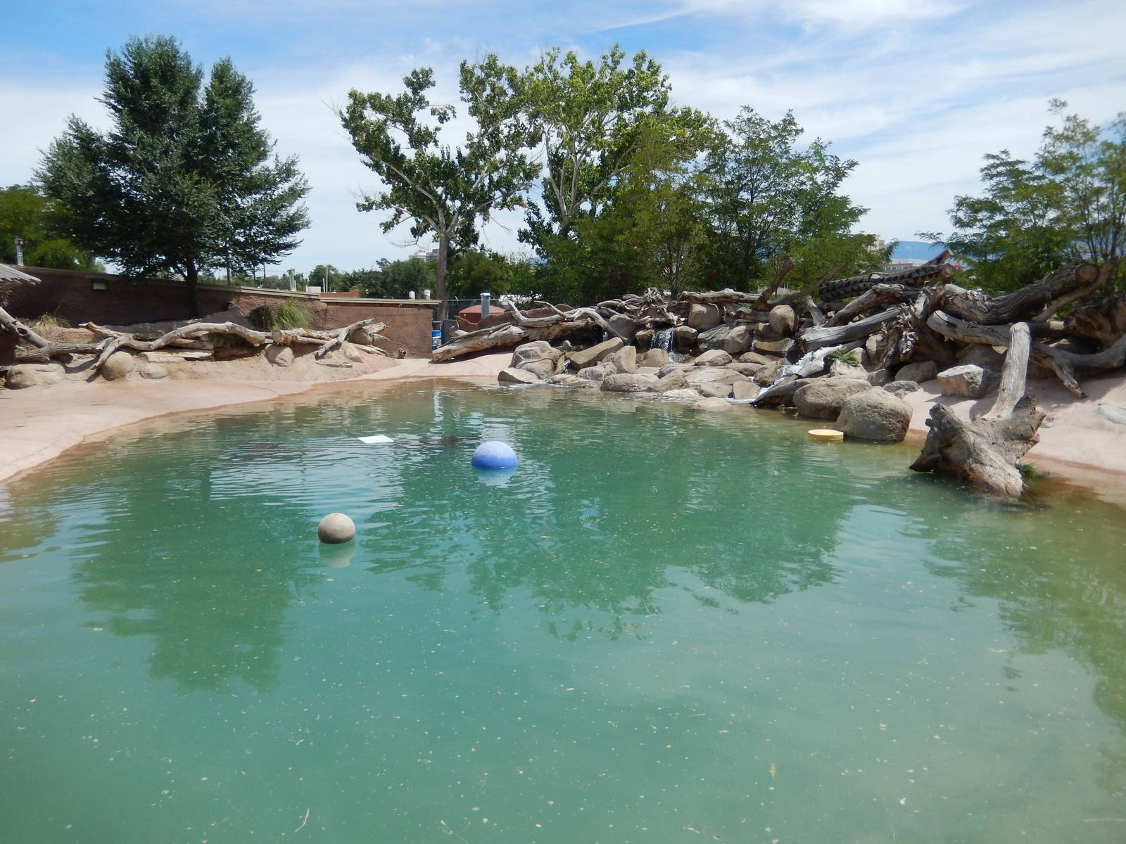 8/6/2015 - Nile Hippo Habitat