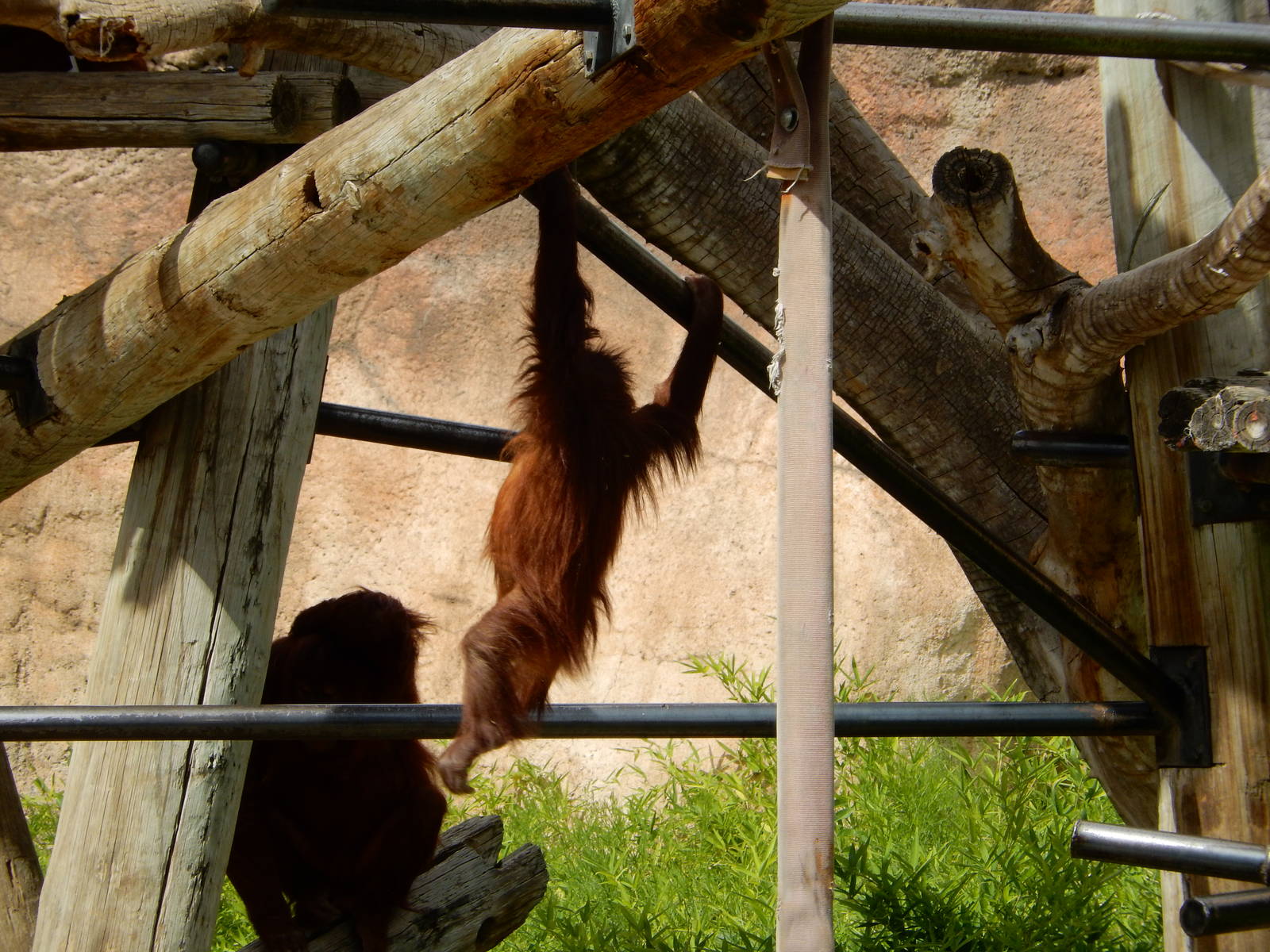 8/6/2015 - Pixel Swinging