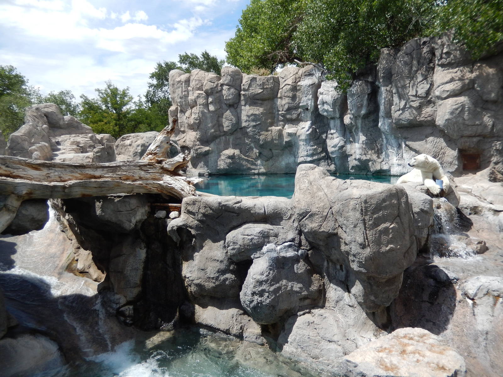 8/6/2015 - Polar Bear Habitat