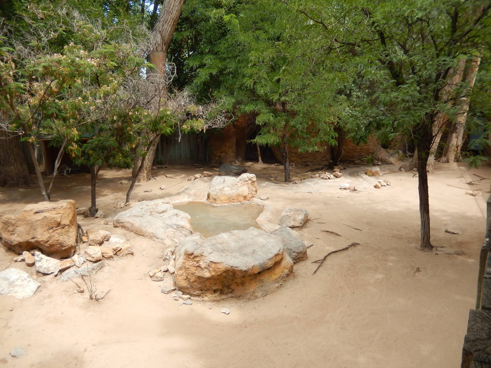 8/6/2015 - Red Kangaroo Habitat (Right Half)