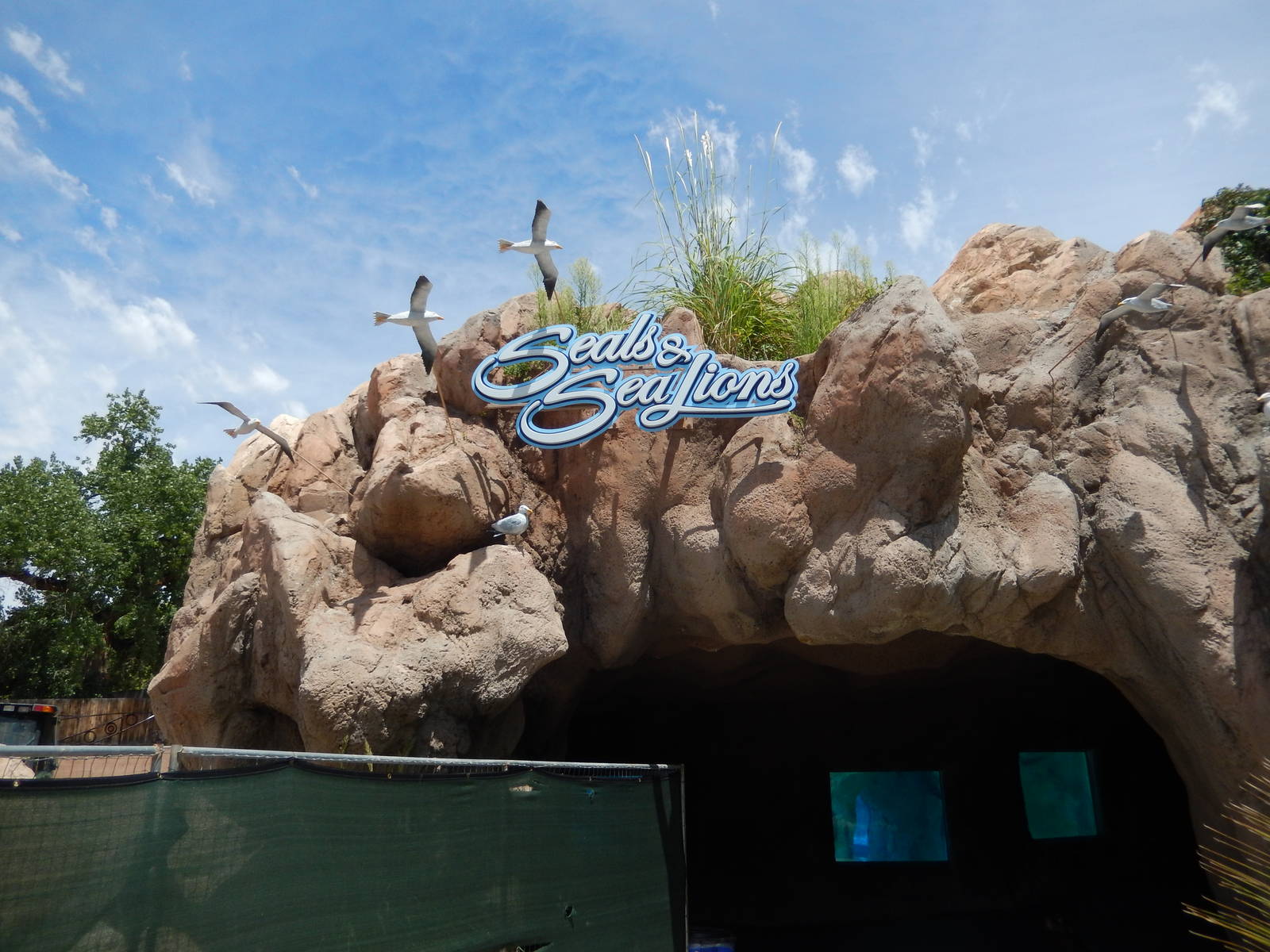 8/6/2015 - Seal and Sea Lion Entry Cave