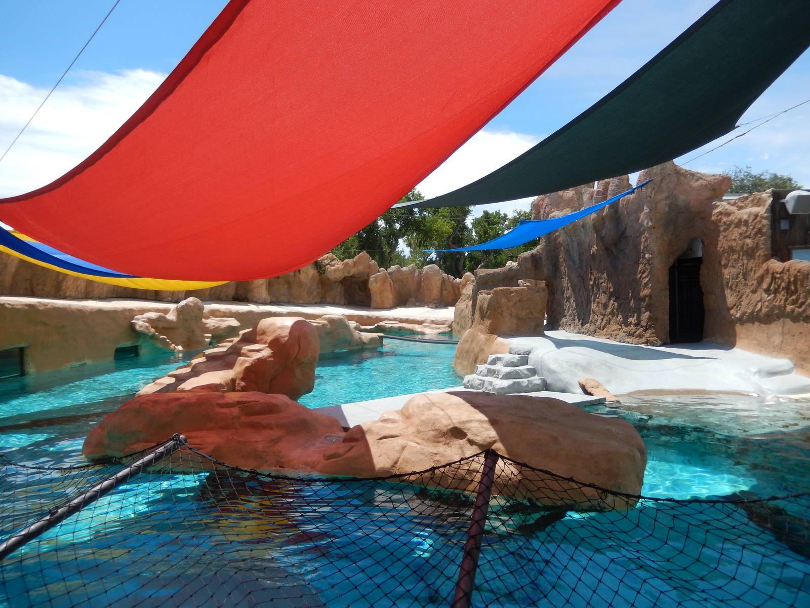 8/6/2015 - Seal/Sea Lion Habitat (Above Water)