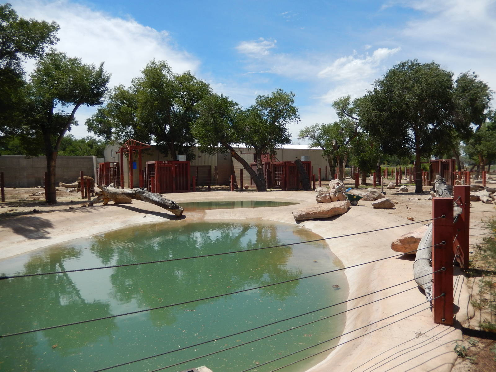 8/6/2015 - Second Asian Elephant Habitat