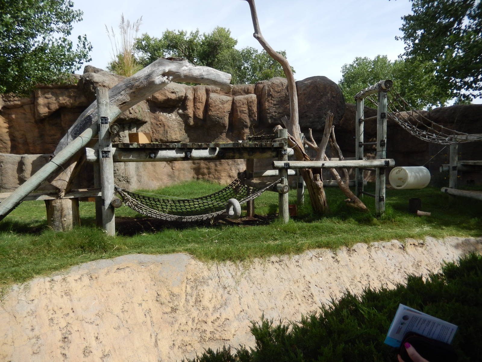 8/6/2015 - Second Gorilla Exhibit (Climbing Structure)