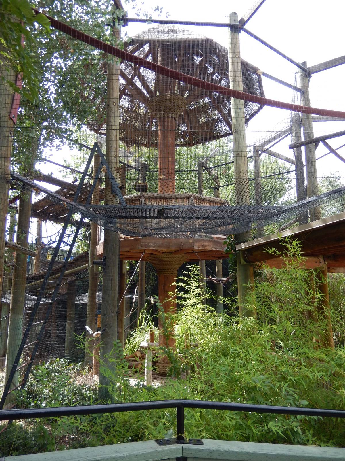 8/6/2015 - Siamang Exhibit (Mid-Air Viewing Platform)