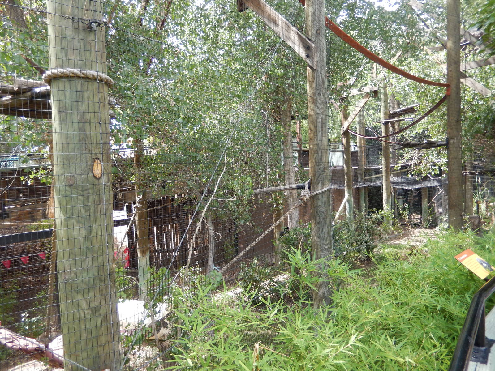 8/6/2015 - Siamang Habitat