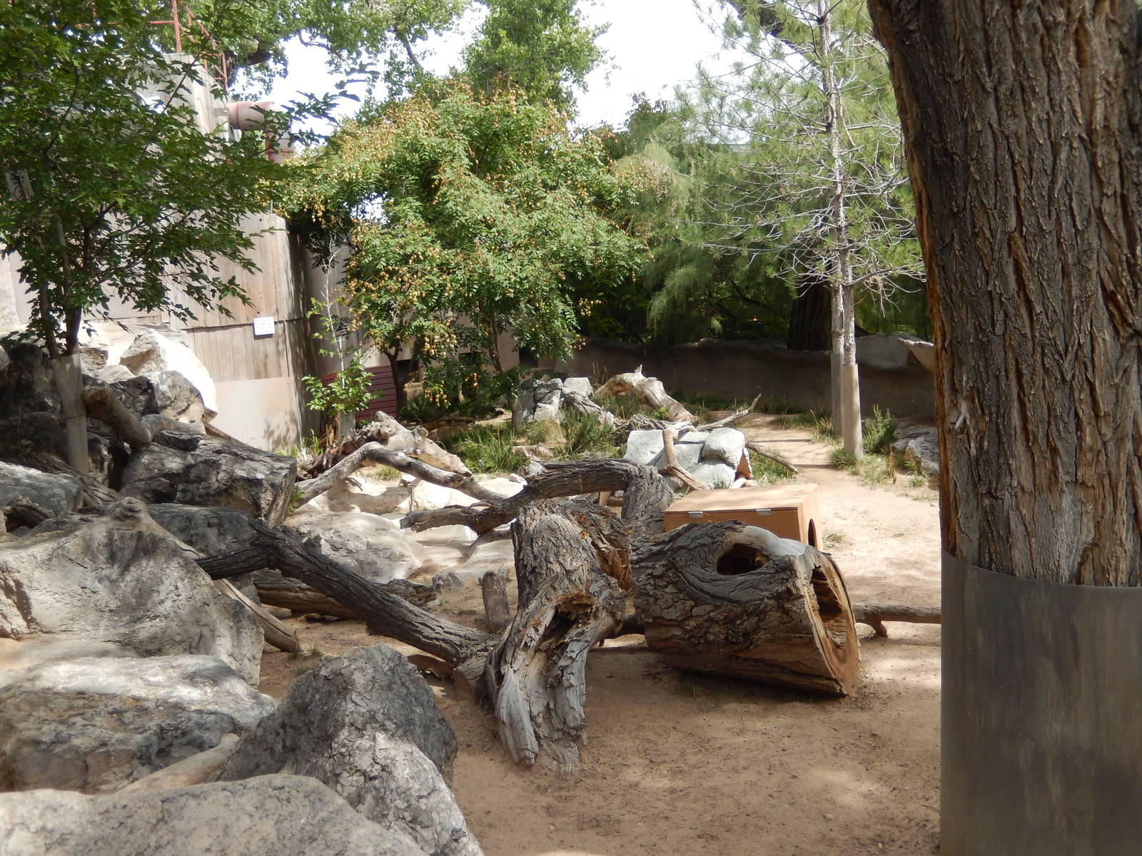 8/6/2015 - Tasmanian Devil Habitat