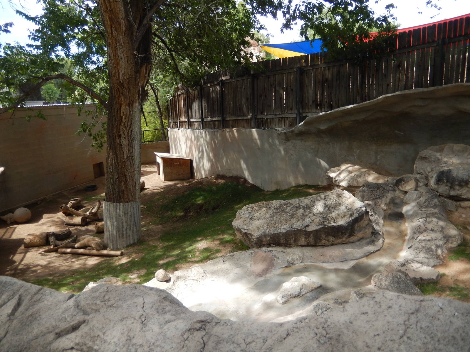 8/6/2015 - Tasmanian Wombat Habitat