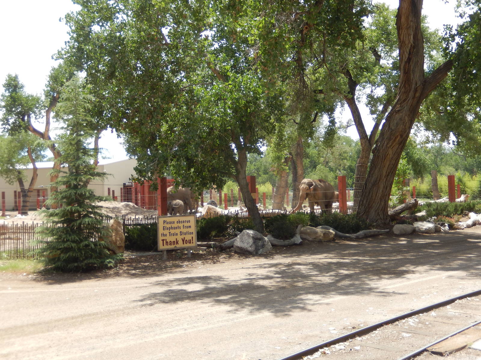 8/6/2015 - Third Asian Elephant Habitat