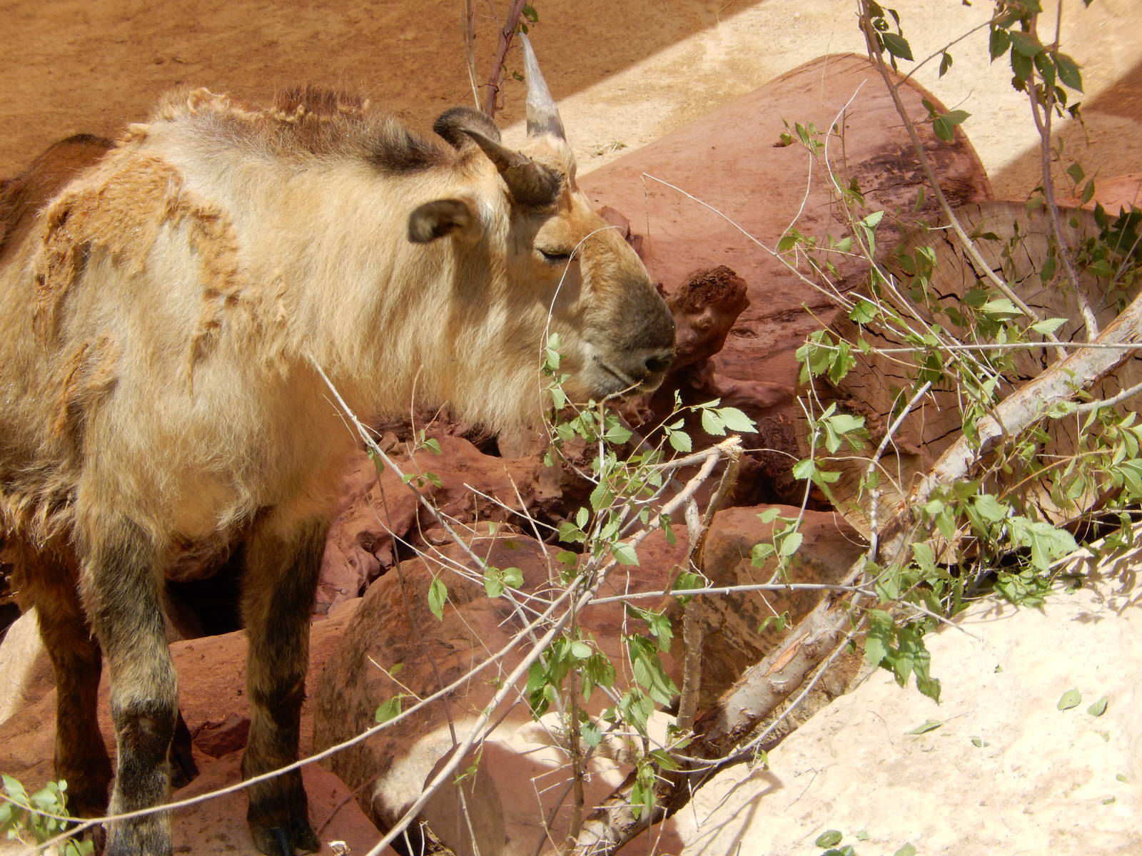 8/6/2015 - Young Takin Browsing