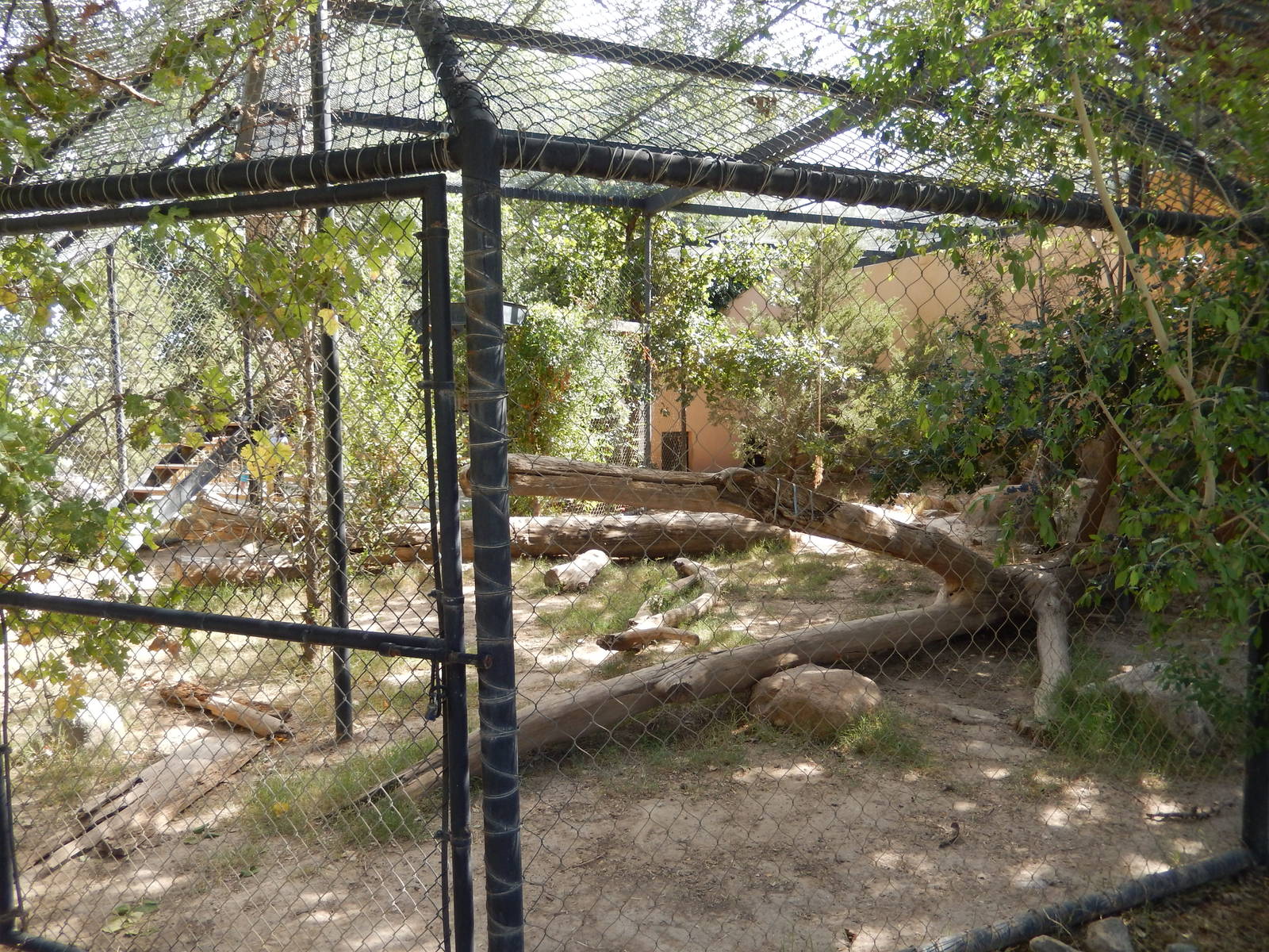 8/8/2015 - Cougar Habitat
