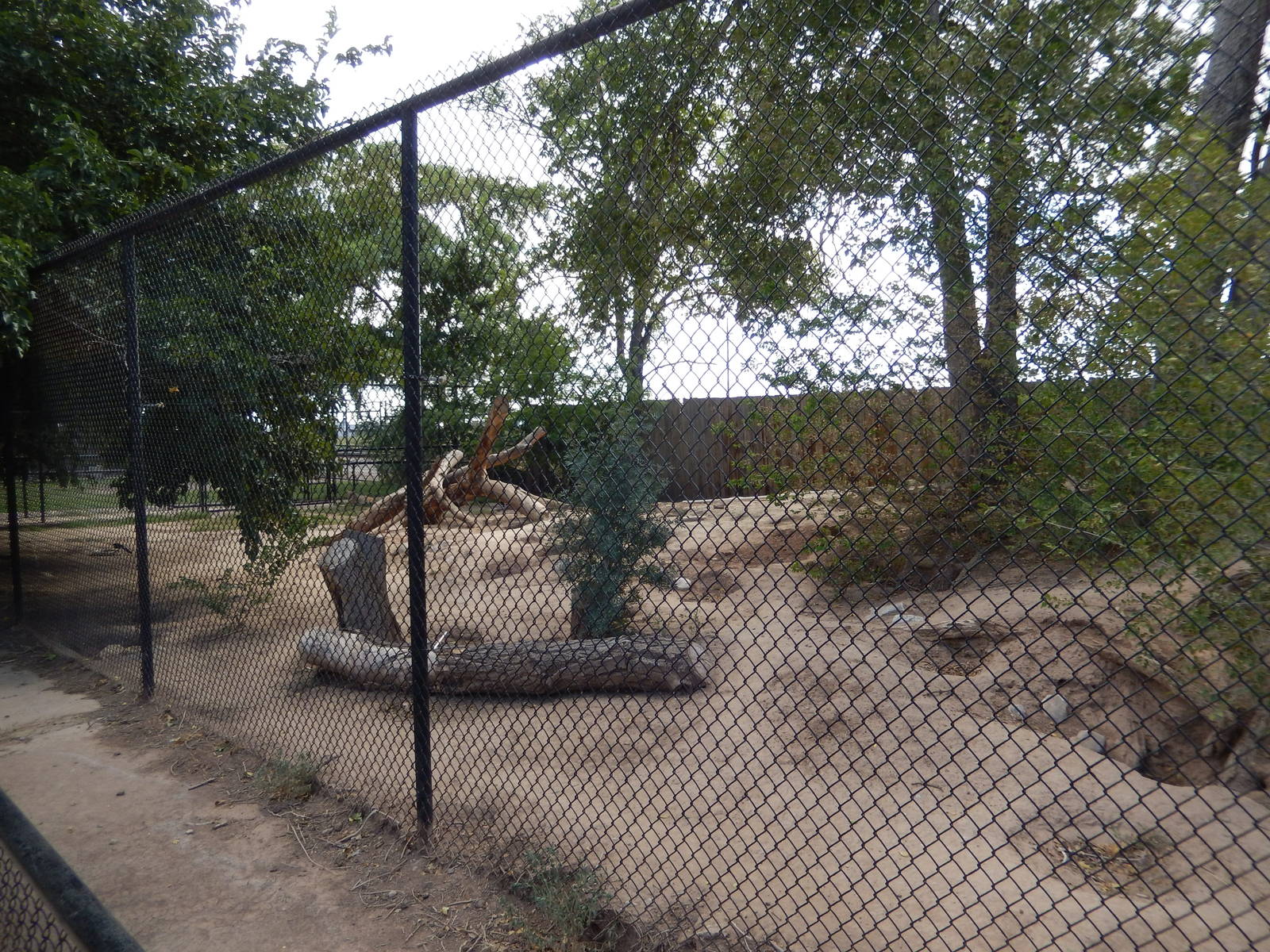 8/8/2015 - Coyote Habitat