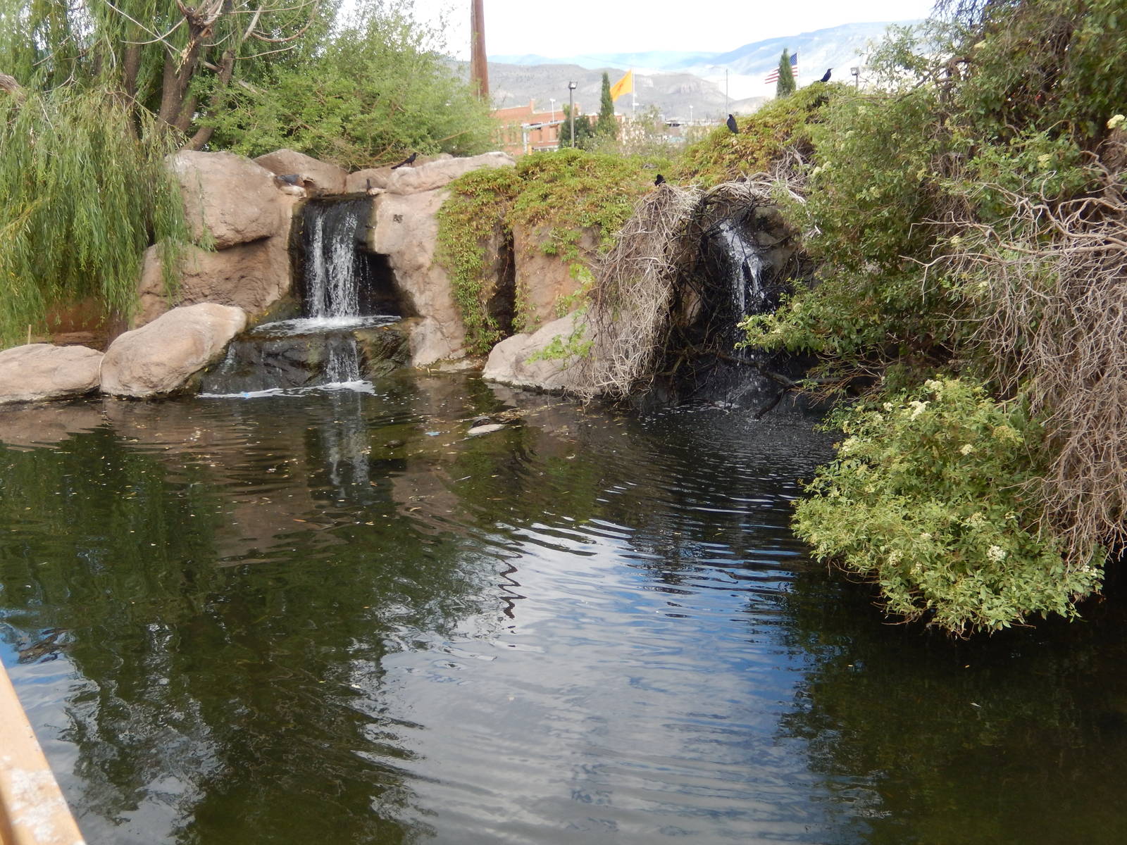 8/8/2015 - Pool and Waterfalls