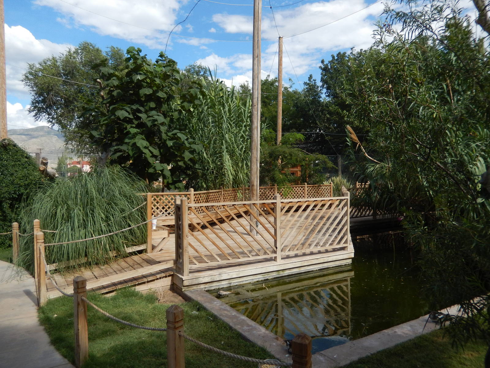 8/8/2015 - Walk-Through Aviary