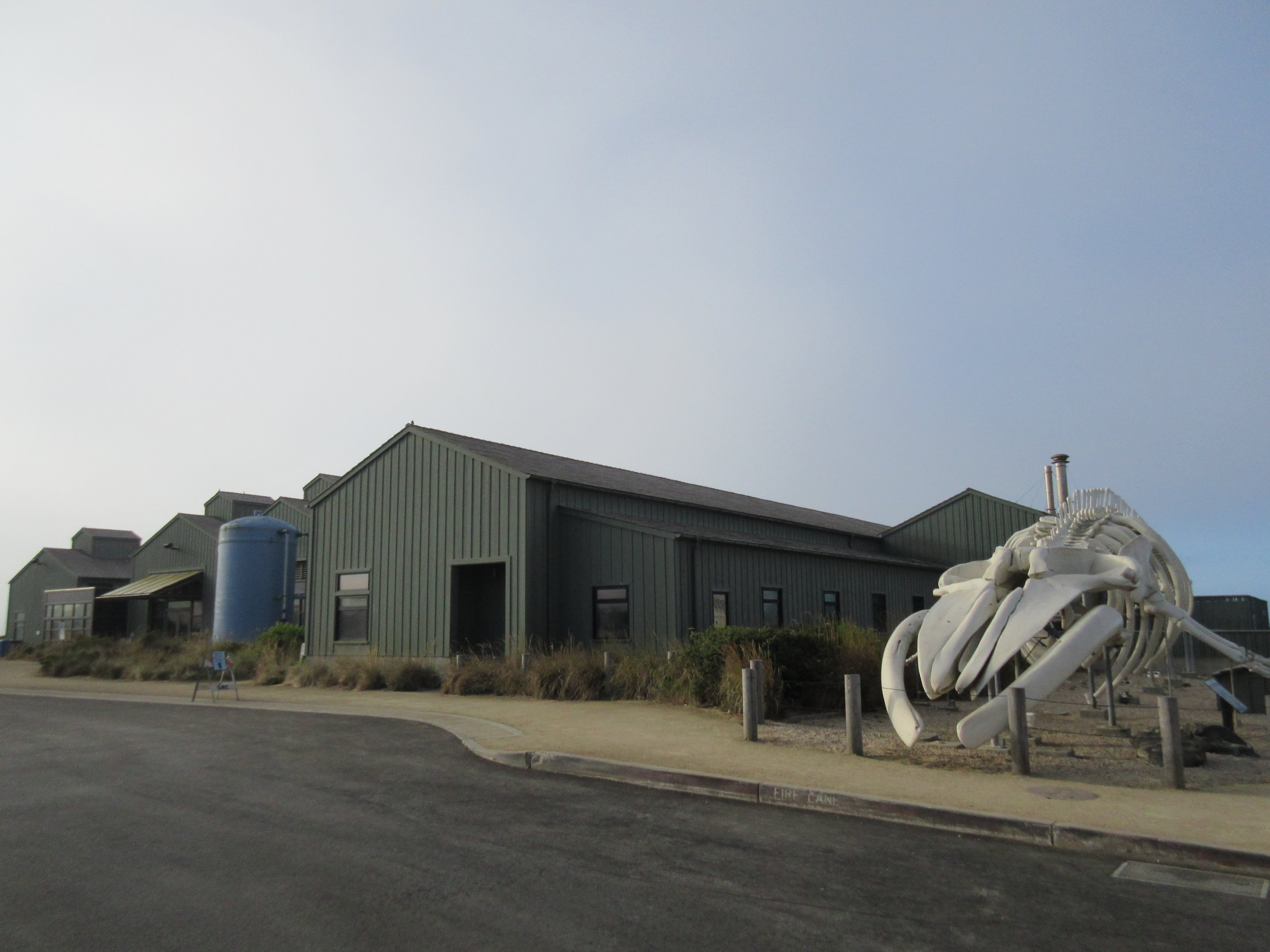 87-Foot Long Blue Whale Skeleton  + Aquarium Exterior