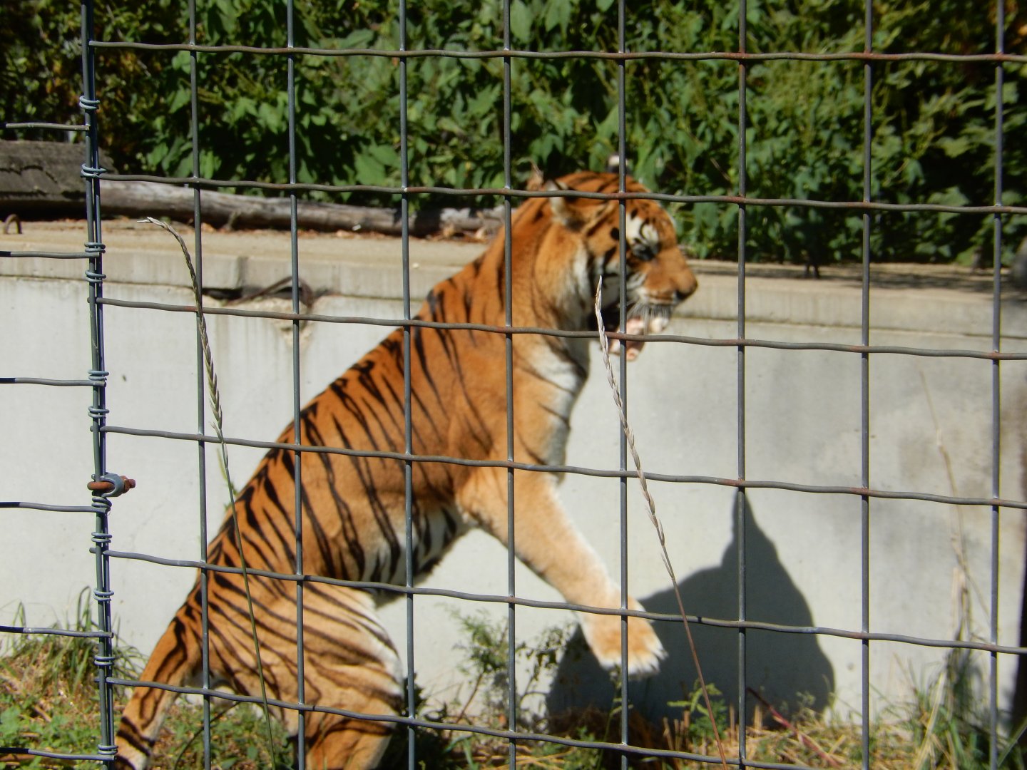 9/1/2024 - I Found Lunch!