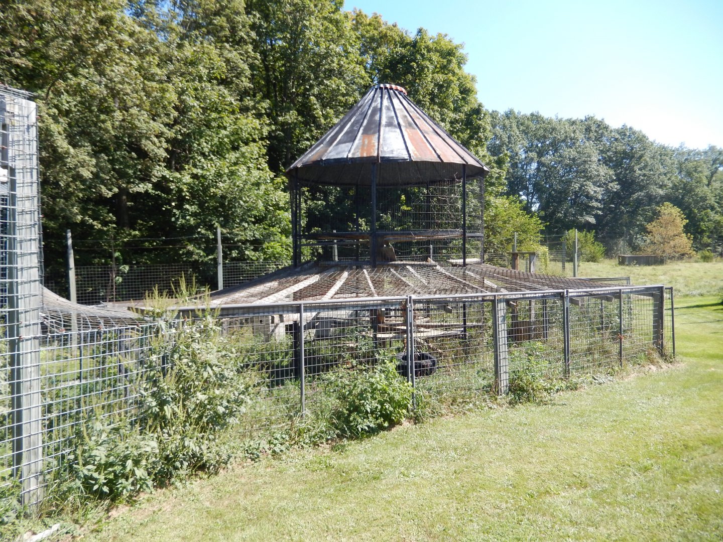 9/1/2024 - Serval Exhibit