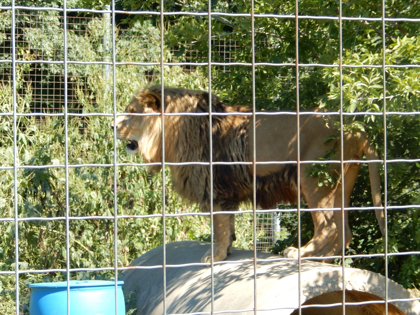 9/1/2024 - Surveying the Sanctuary