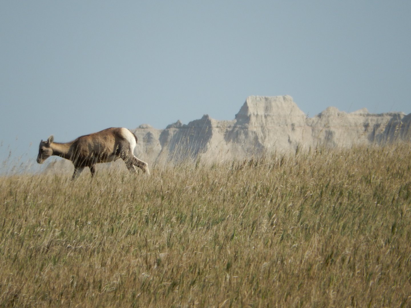 9/11/2021 - A Breathtaking Stroll