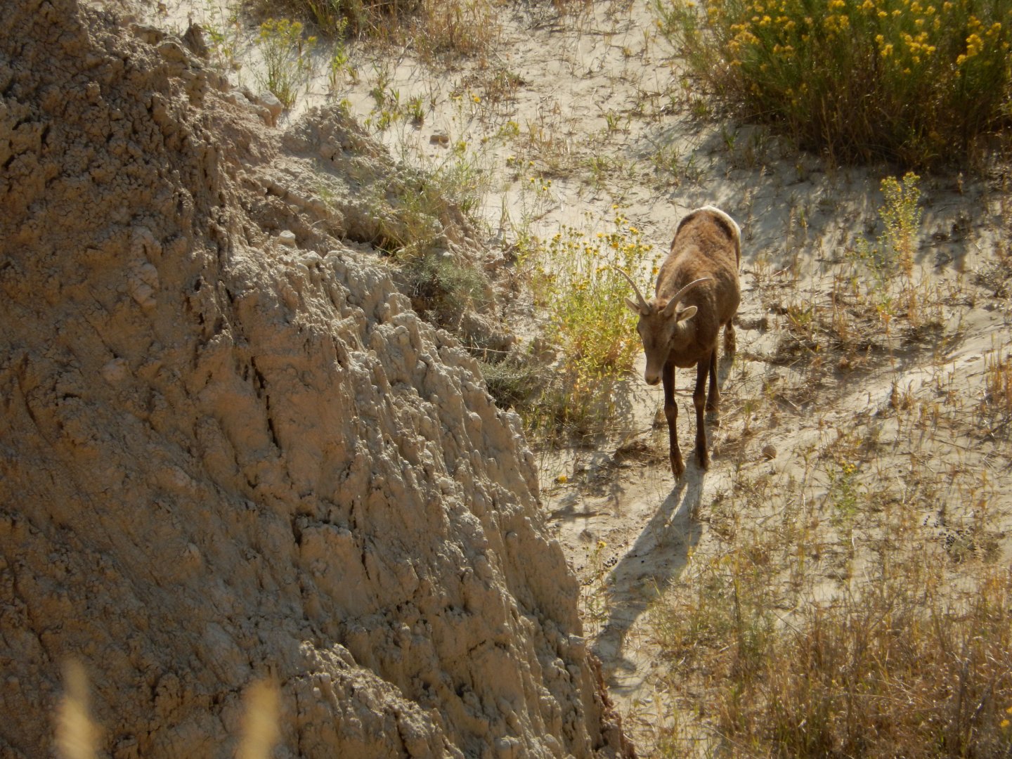 9/11/2021 - Down in the Gorge