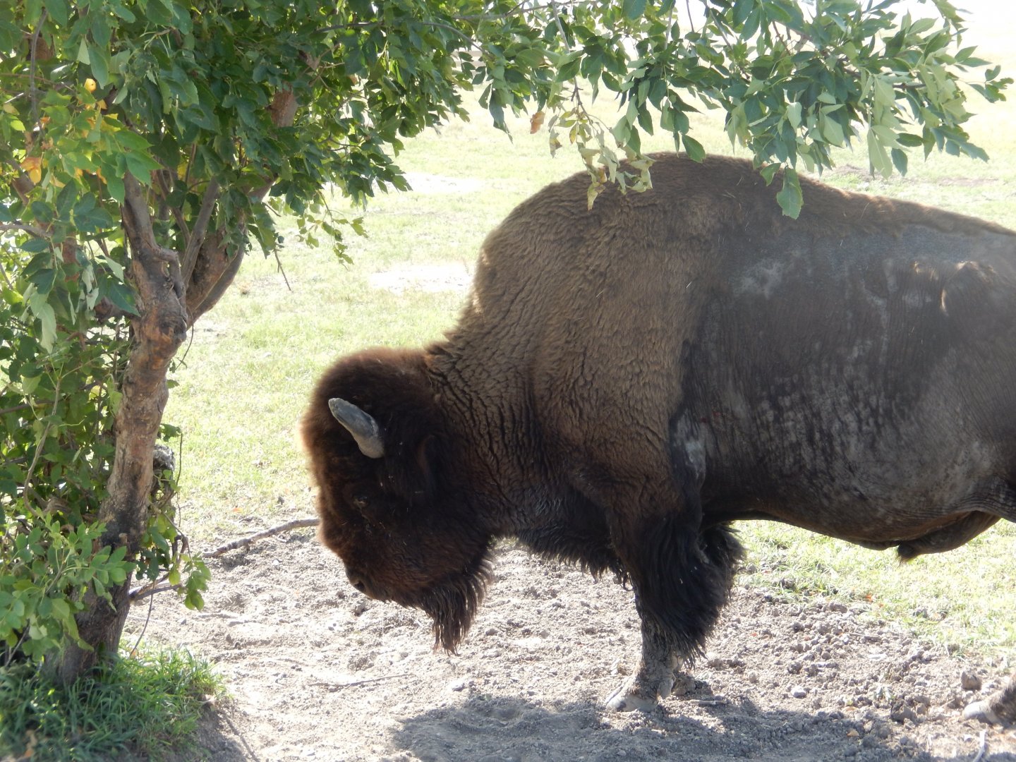 9/11/2021 - Framed By Branches