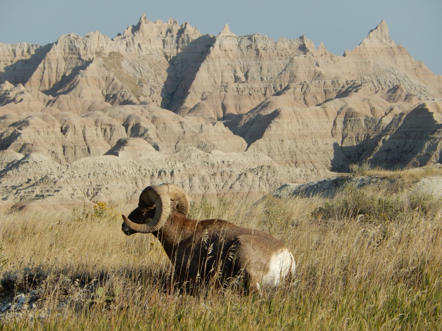 9/11/2021 - King of the Mountain