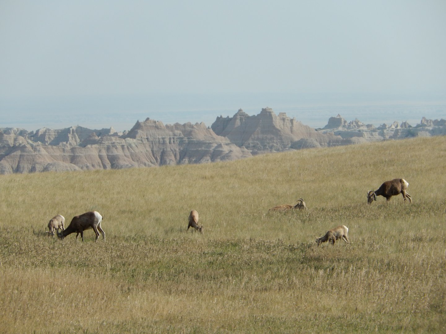 9/11/2021 - Meal in the Mountains
