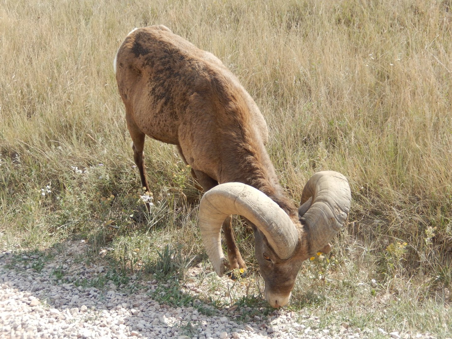 9/11/2021 - Super Close!