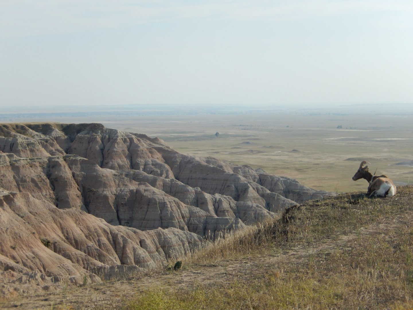 9/11/2021 - Surveying the Land