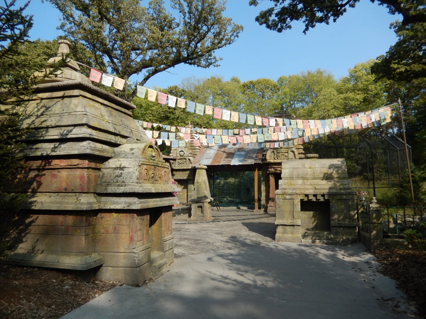 9/13/2020 - Amur Tiger Viewing Plaza